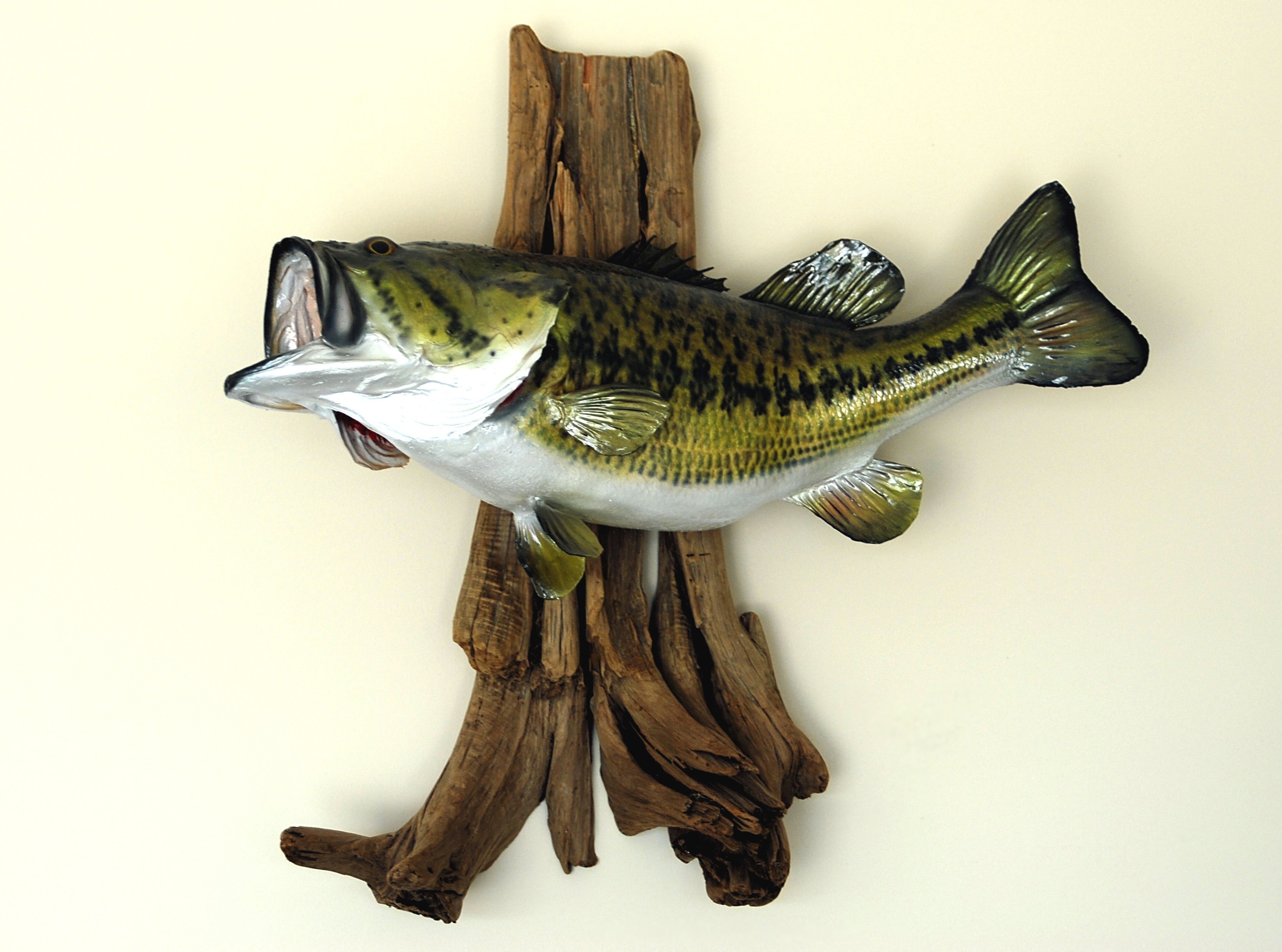 Brown White And Black Fish Wall Decor