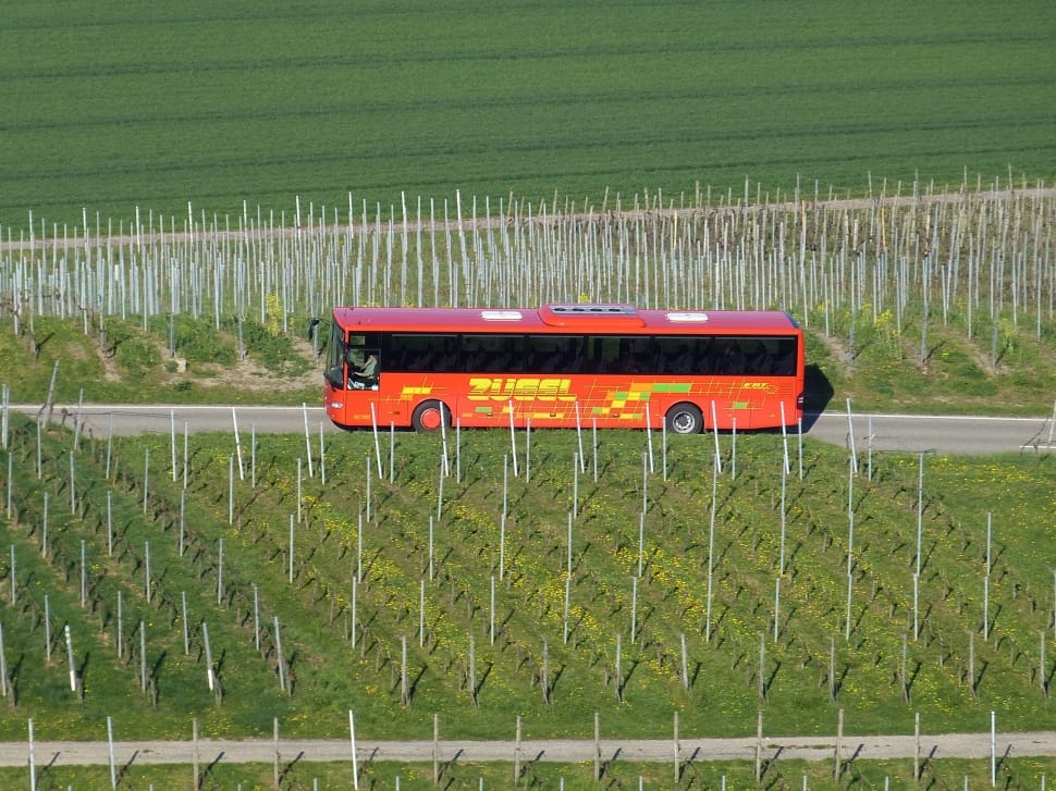 focus photo of red bus along the gray concrete road during daytime preview