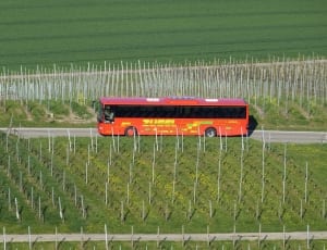 focus photo of red bus along the gray concrete road during daytime thumbnail
