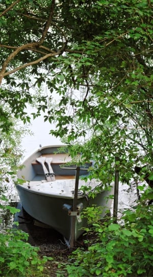gray wooden boat thumbnail