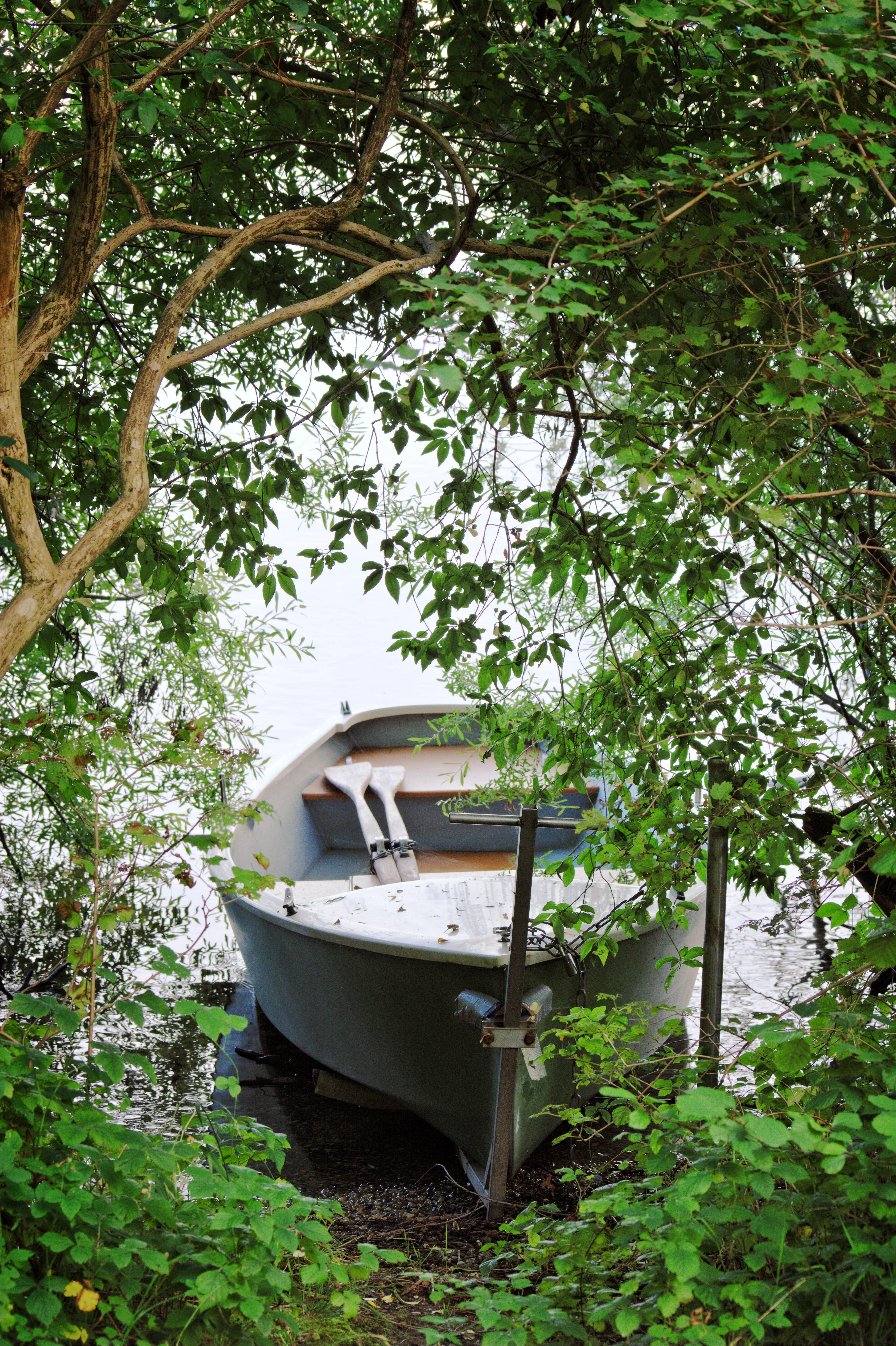 gray wooden boat