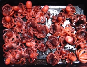 fried octopus thumbnail