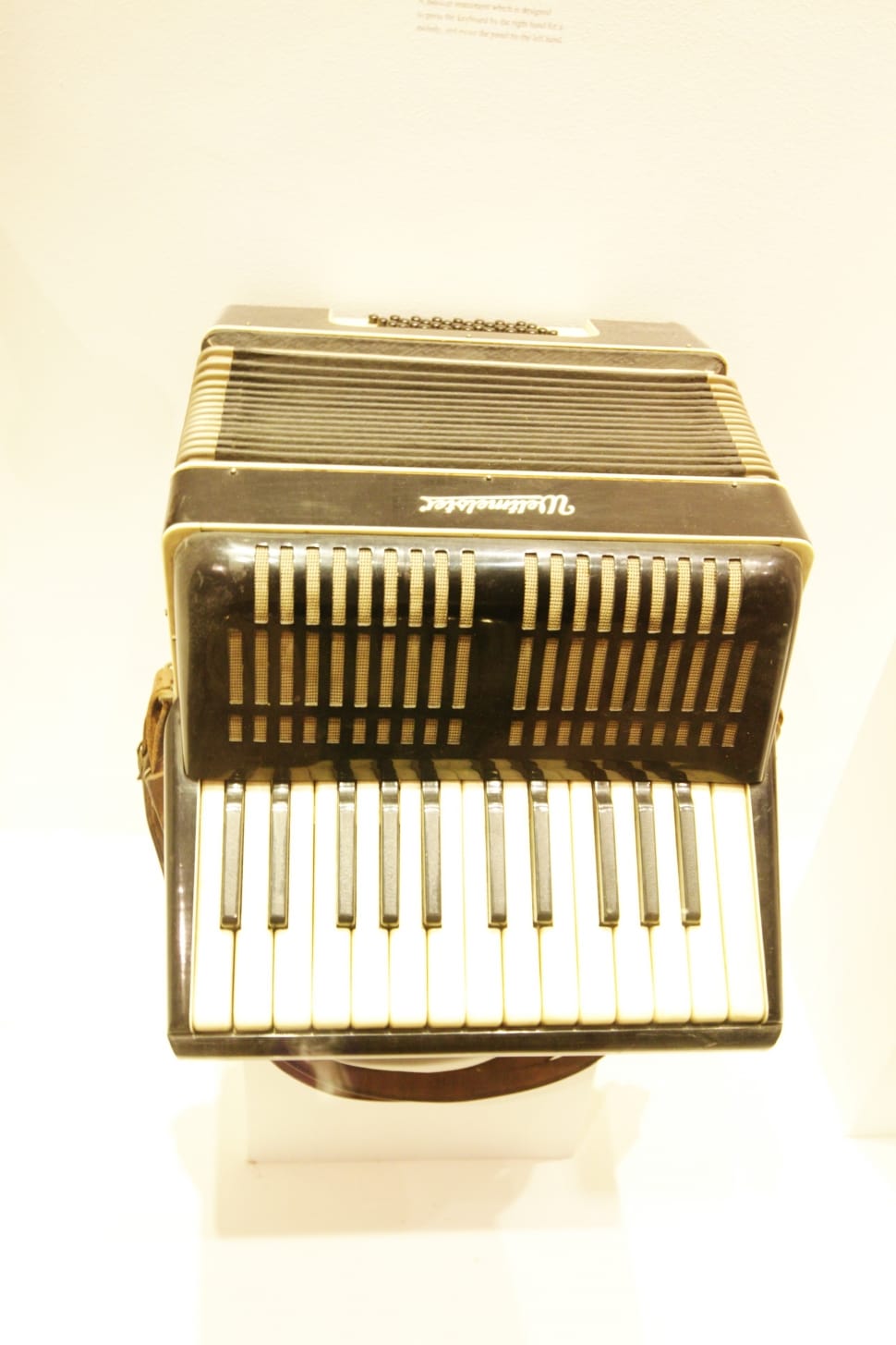 black accordion on white surface preview