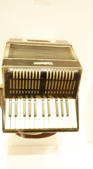 black accordion on white surface thumbnail