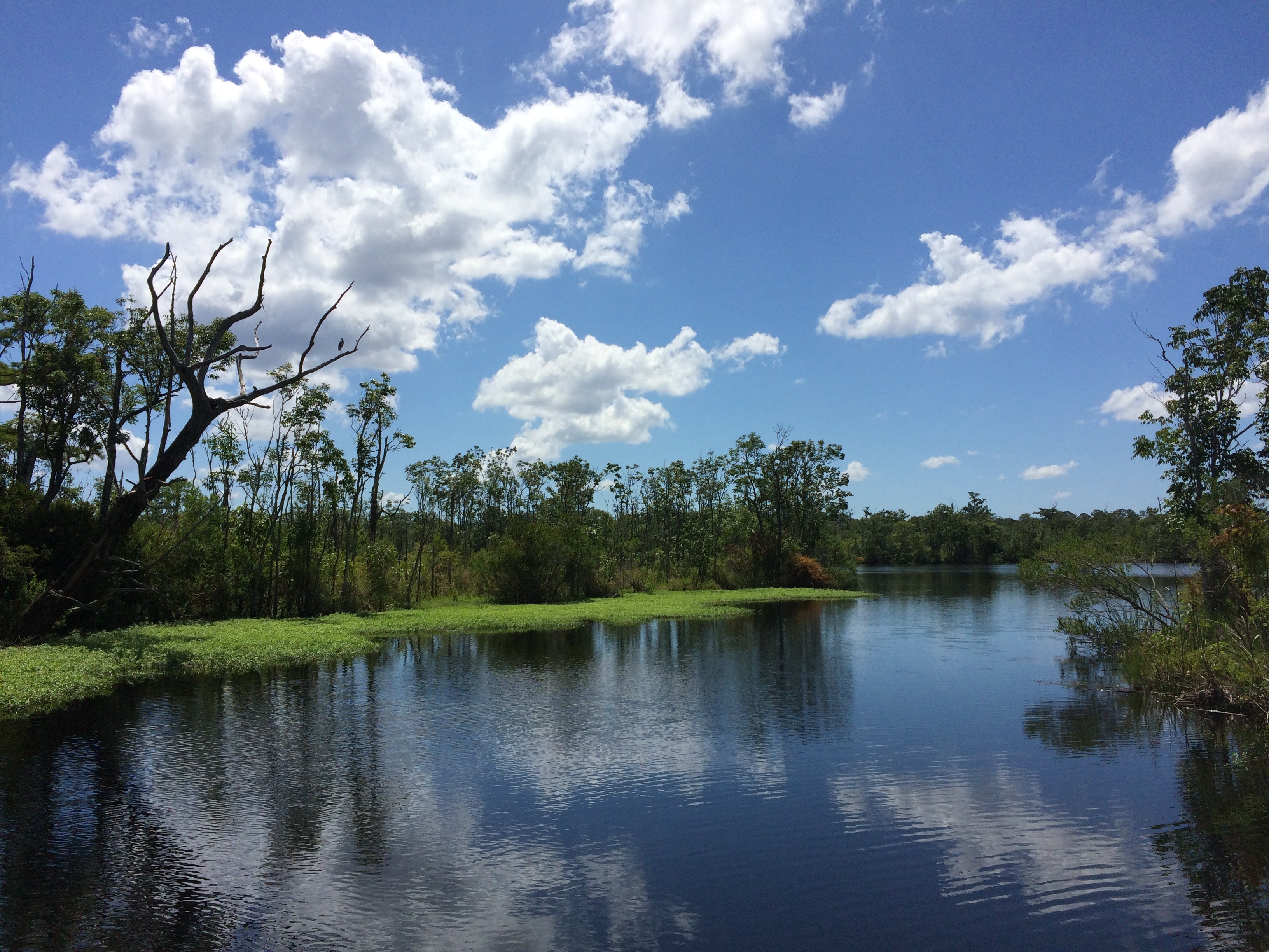 photograph of body of water surrounded by tress