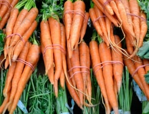 bunch of carrots thumbnail