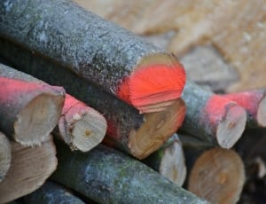brown wood log thumbnail
