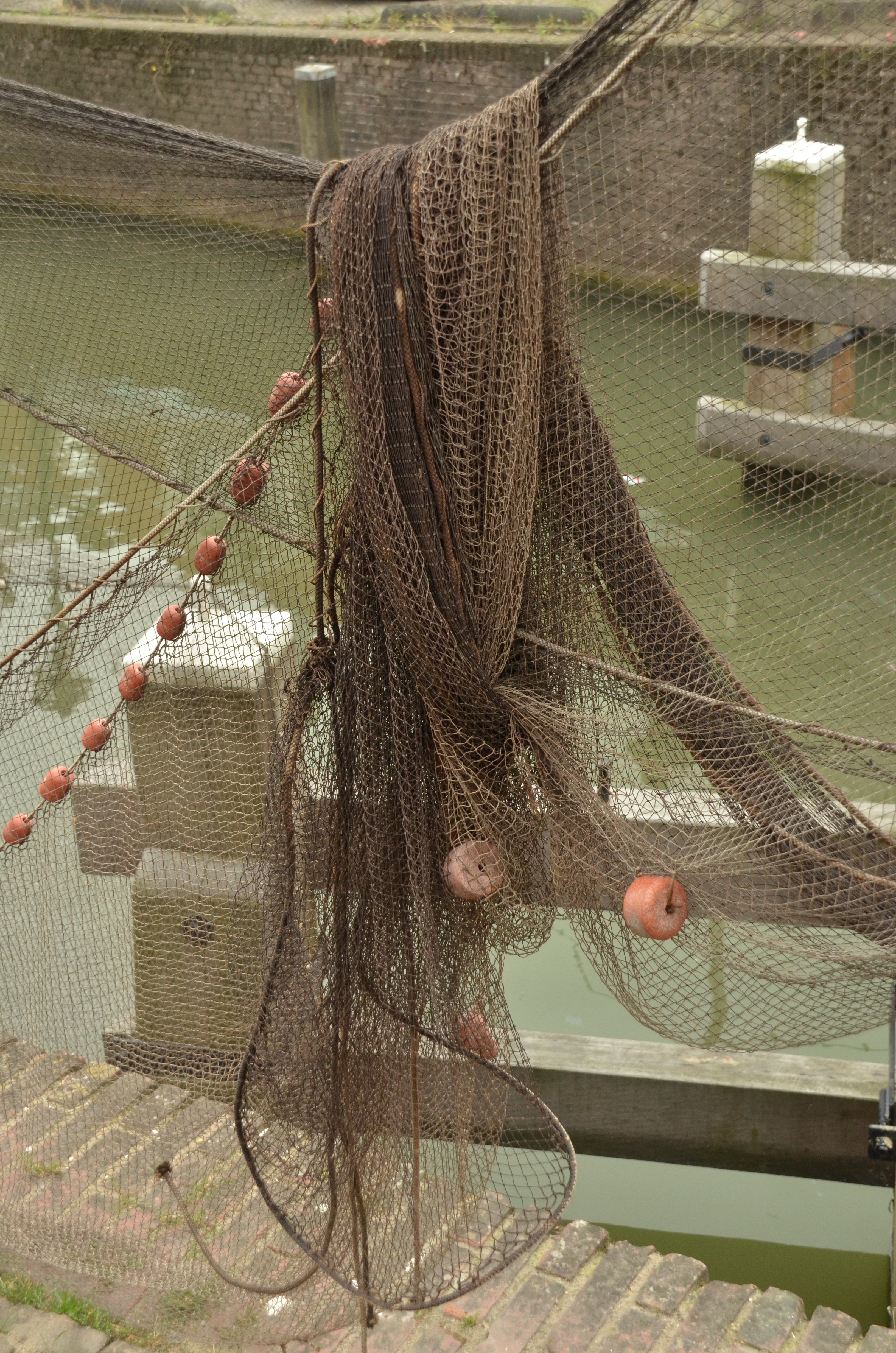 brown net