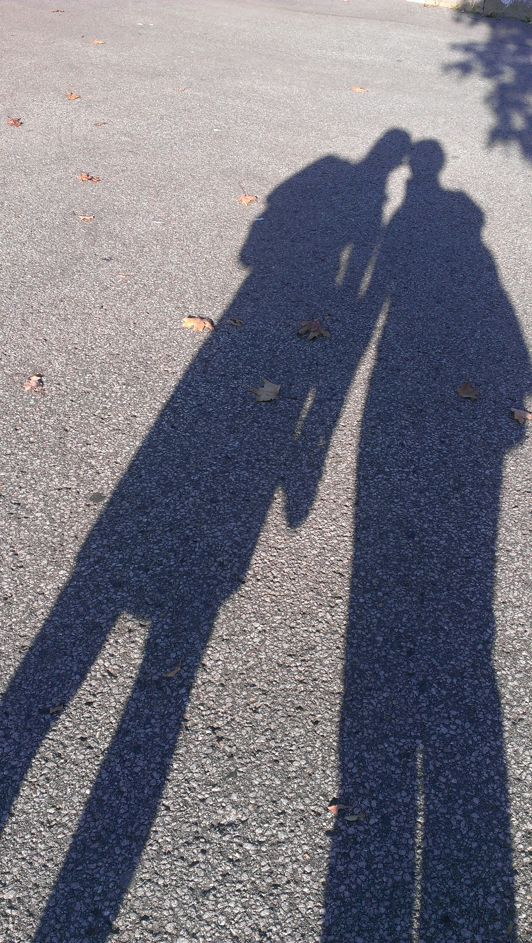 shadow of 2 person on asphalt road during daytime