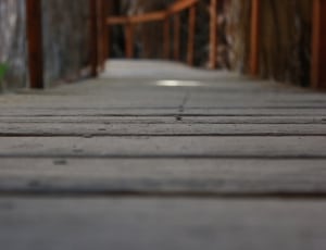 brown wooden walkway thumbnail