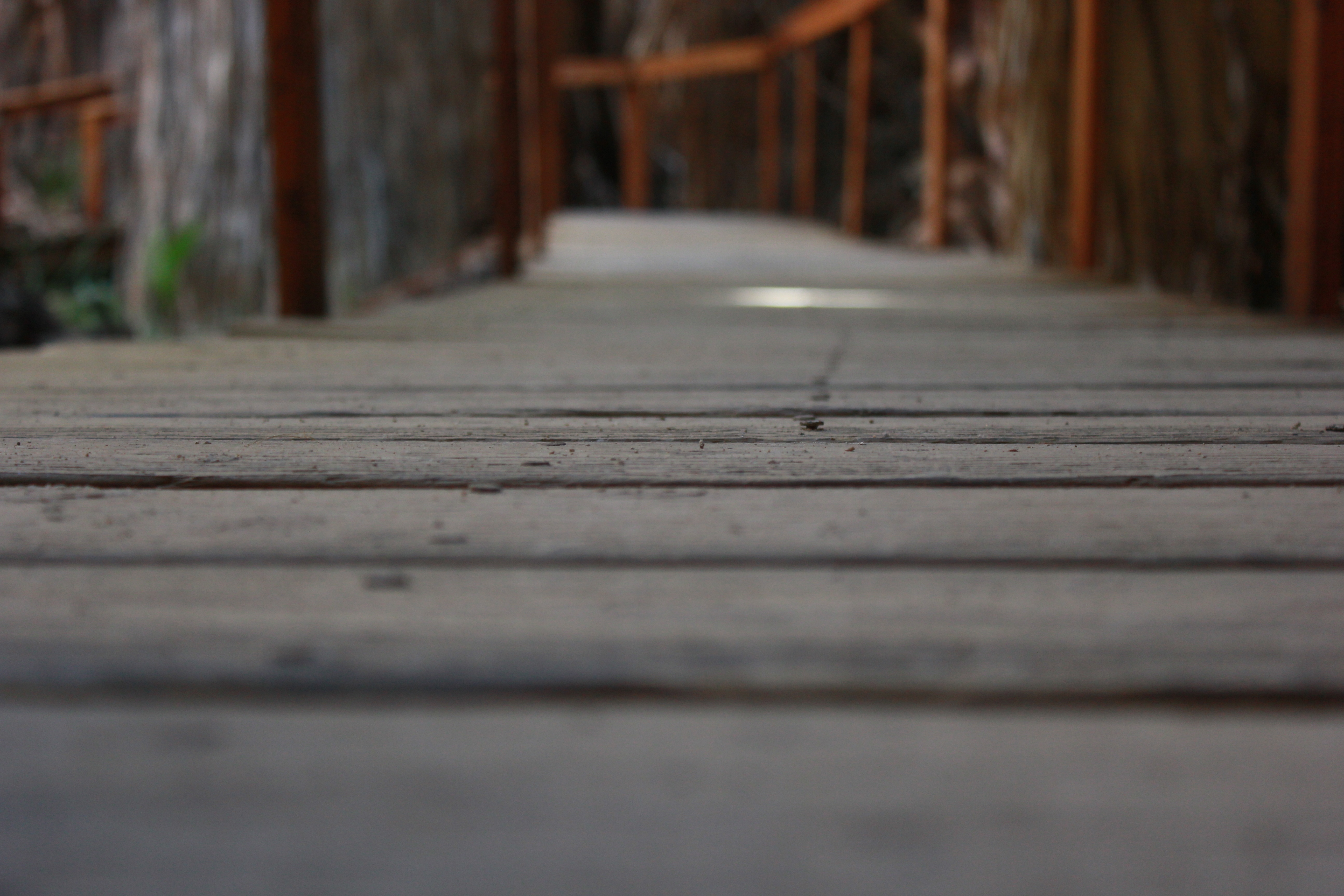 brown wooden walkway