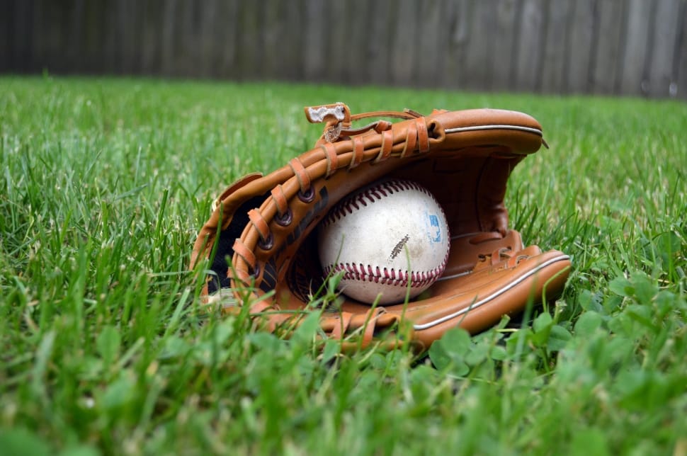 brown baseball gloves and ball preview