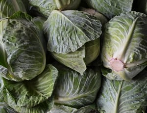 cabbage vegetable lot thumbnail