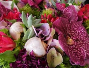 pink and white moth orchids hydrangeas and succulents thumbnail