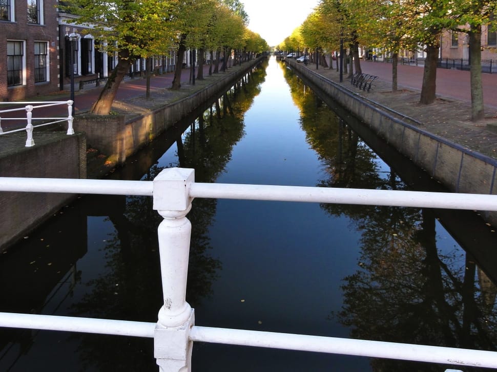 small canal in the middle of green trees preview