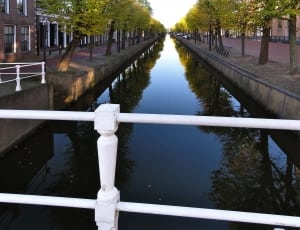 small canal in the middle of green trees thumbnail