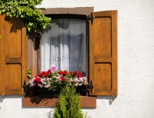 white red and pink flower window arrangement thumbnail