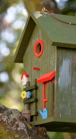 red, blue, and green wooden bird house thumbnail