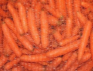 vegetable carrots thumbnail