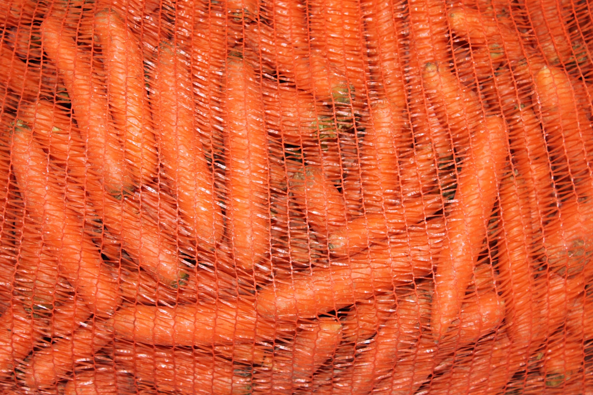 vegetable carrots