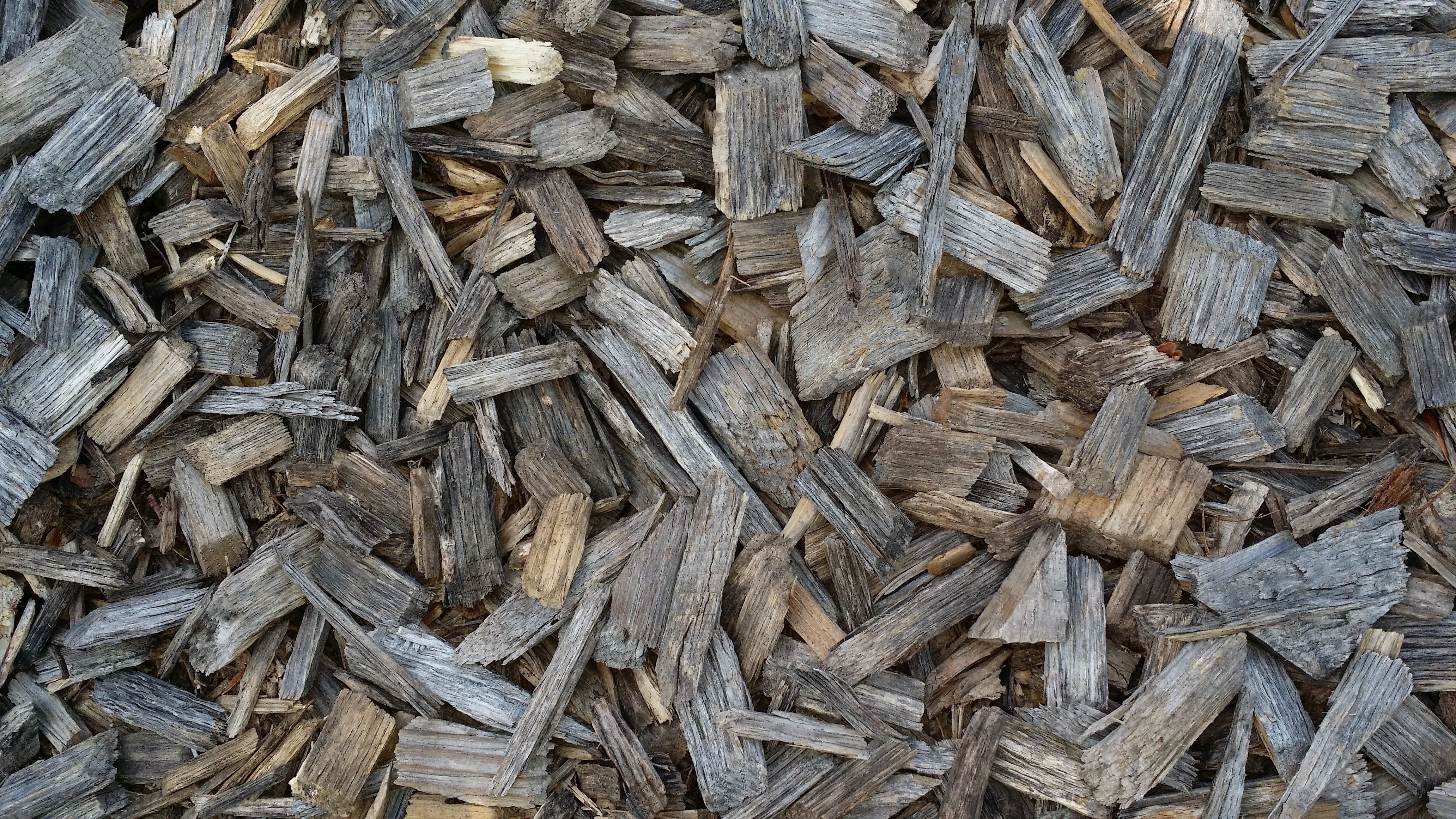 brown logs pile