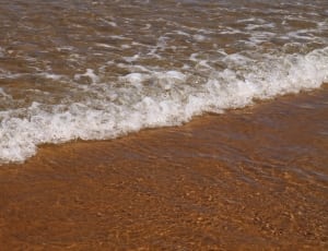 seashore and brown sand thumbnail