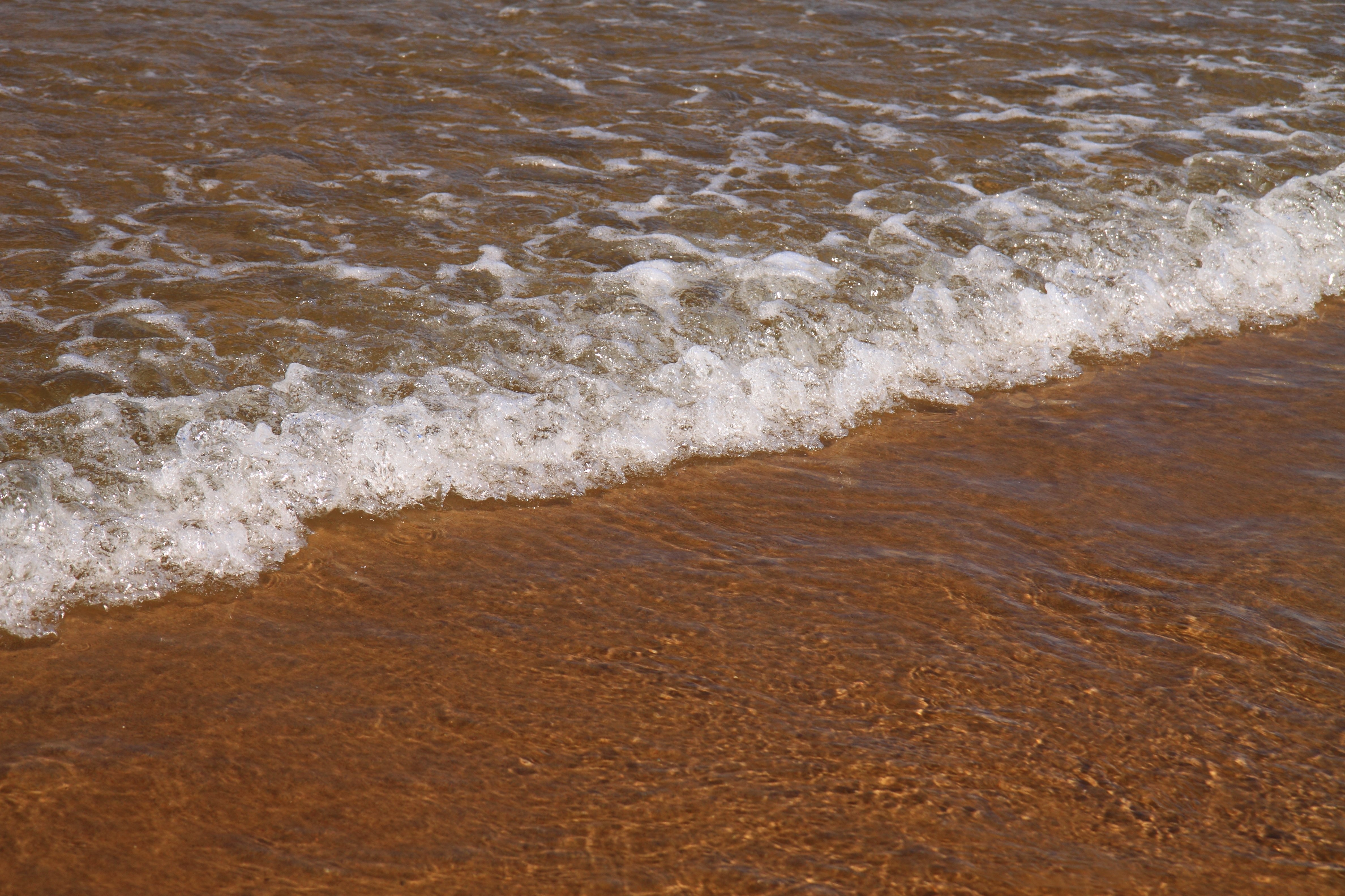 seashore and brown sand