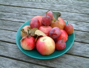 apples and cherries thumbnail
