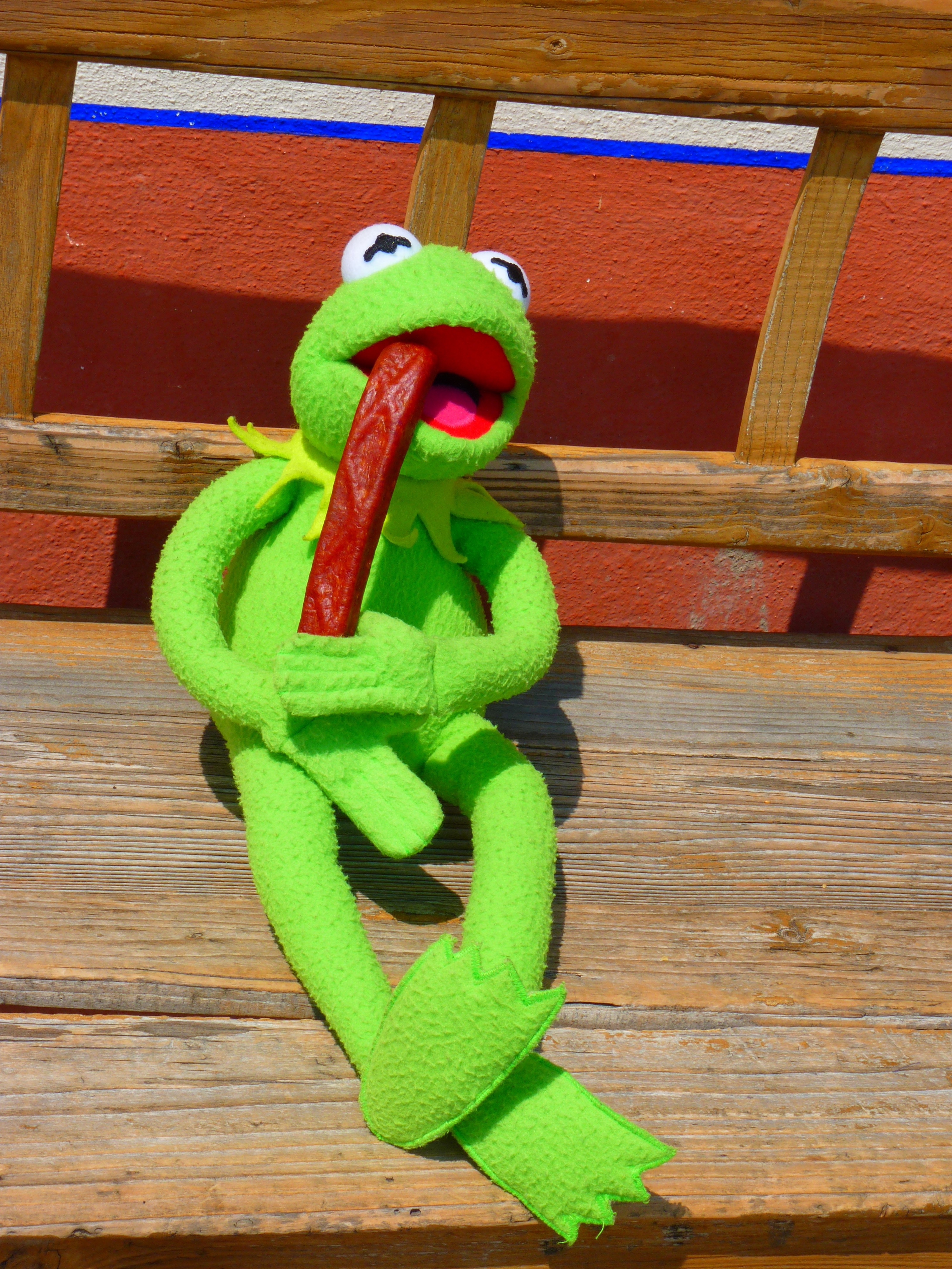 kermit the frog plush toy