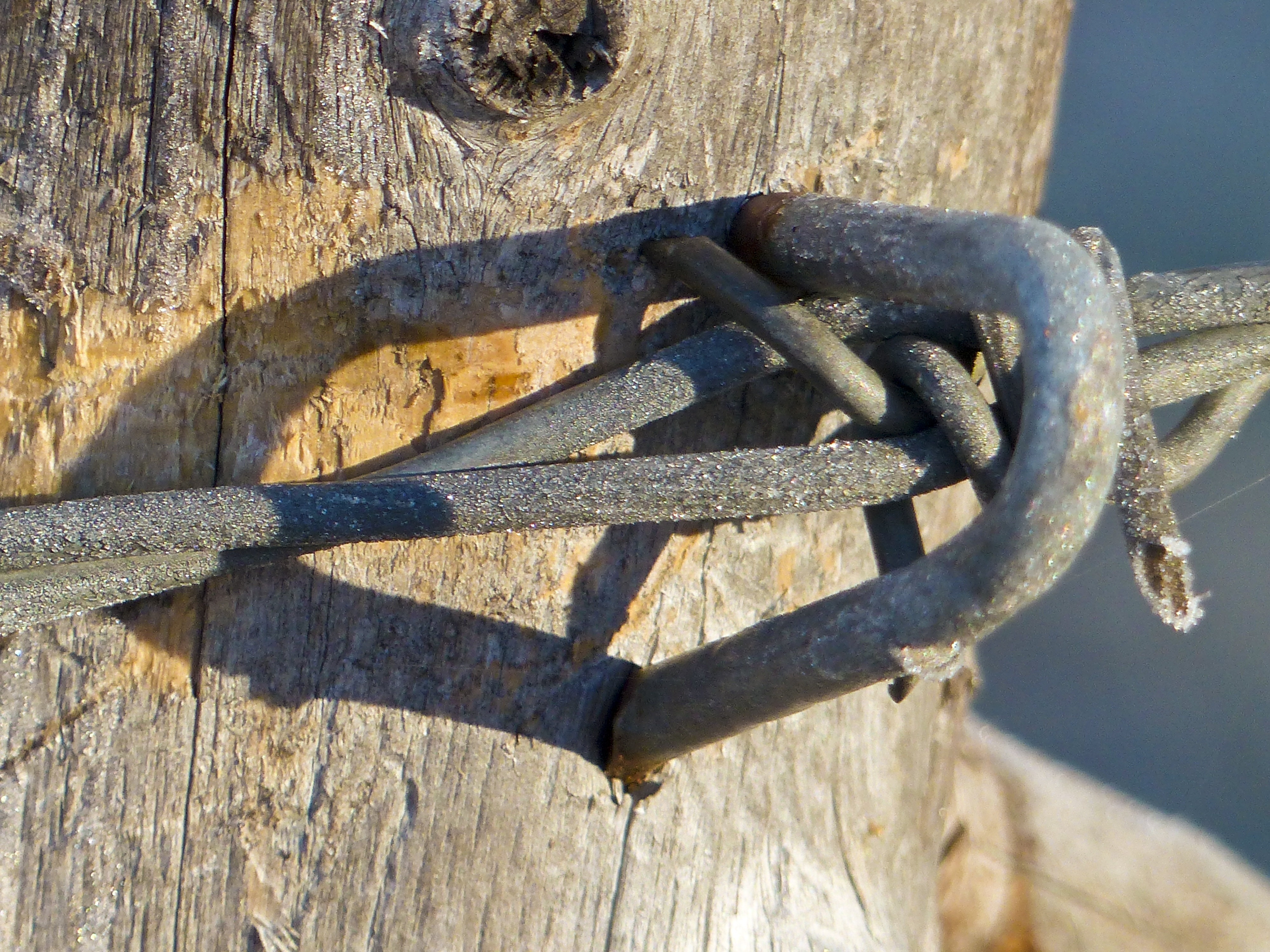black rope and gray metal nail