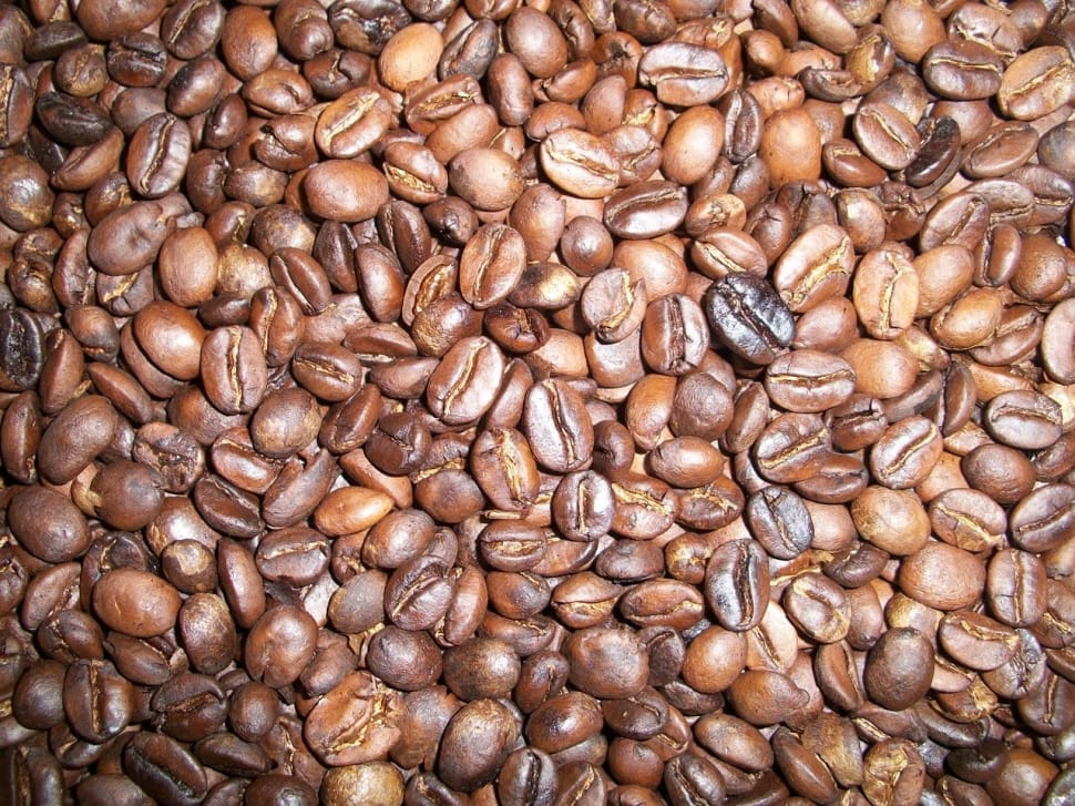 roasted coffee beans preview