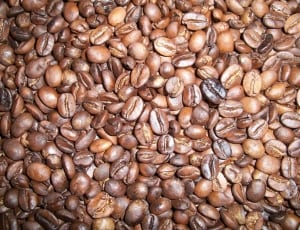 roasted coffee beans thumbnail