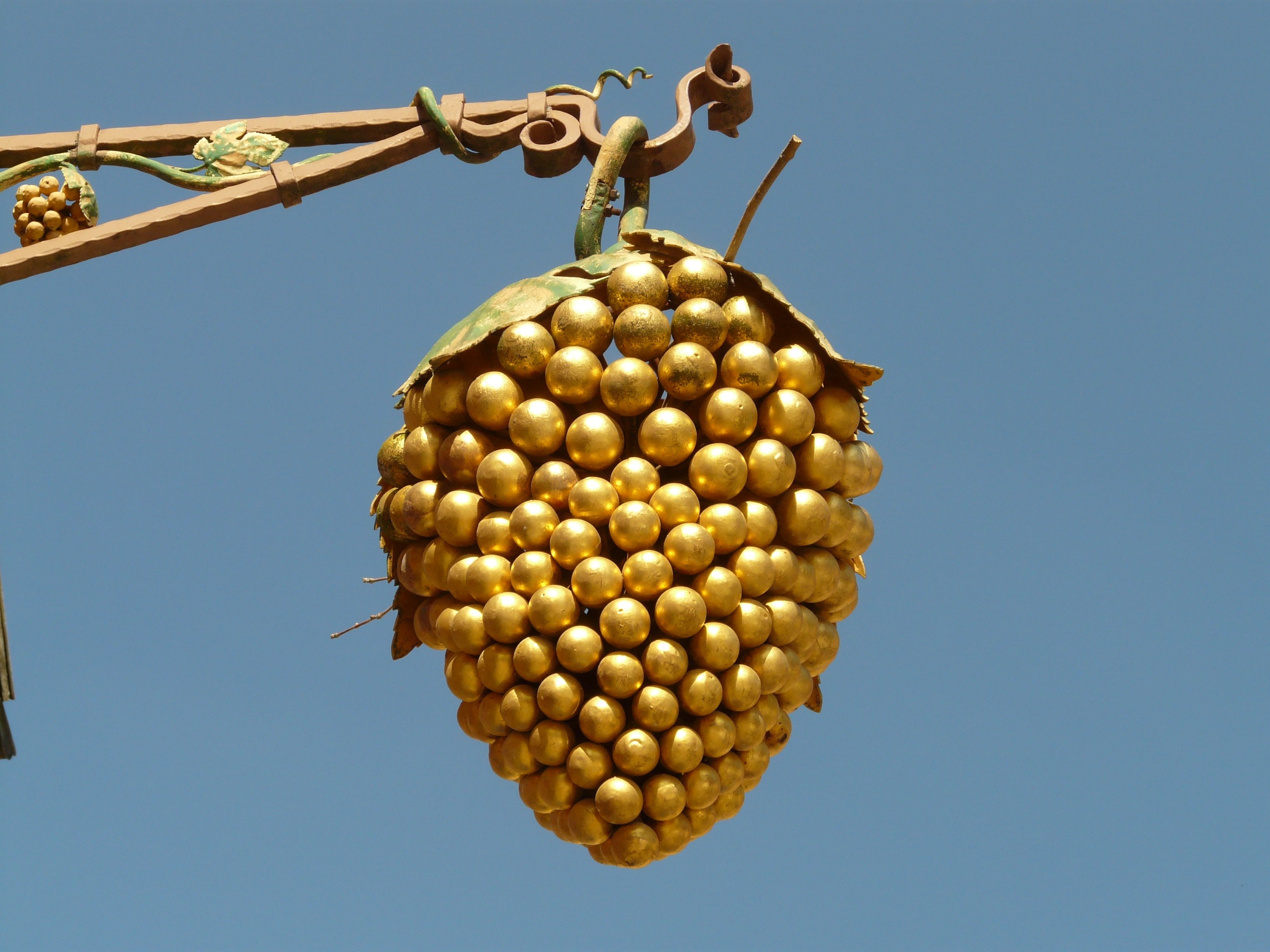 gold round fruit