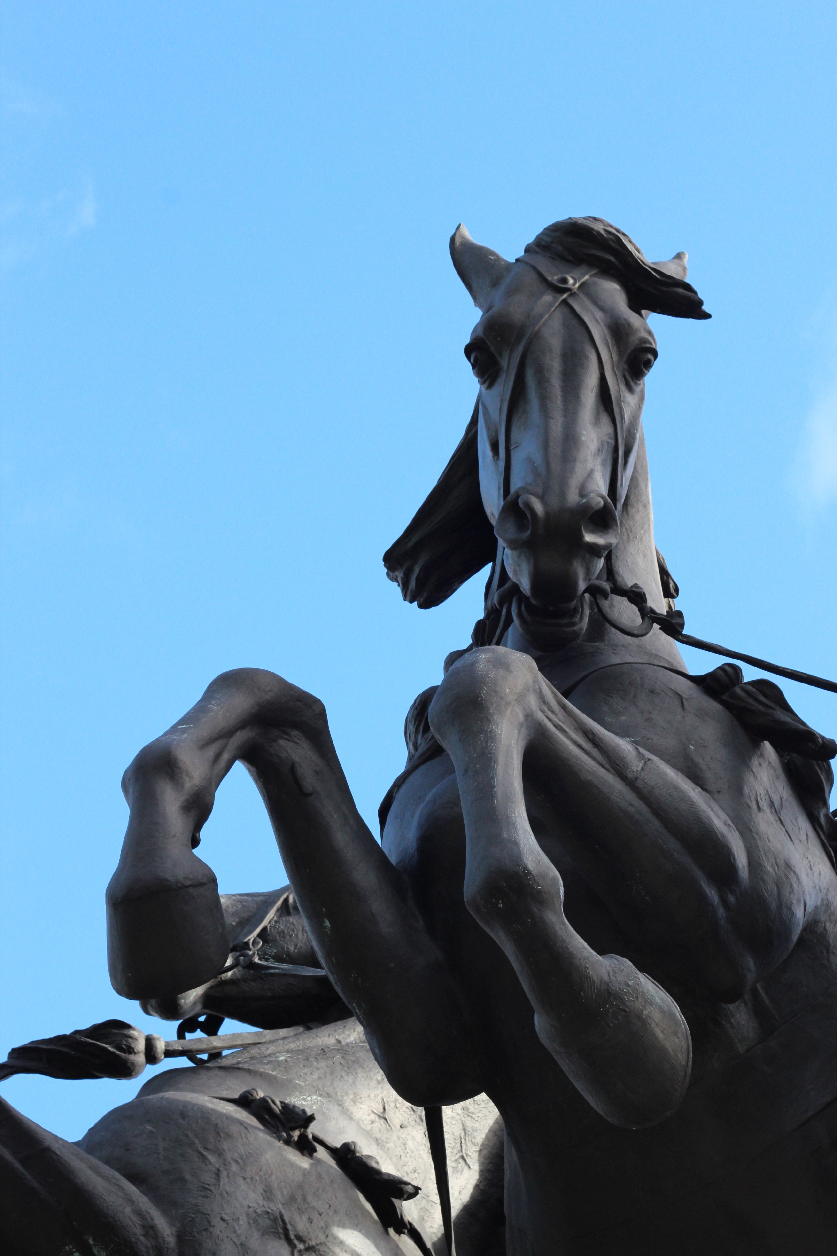black horse statue