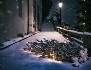 pine tree with string light fell down on snow pathway thumbnail