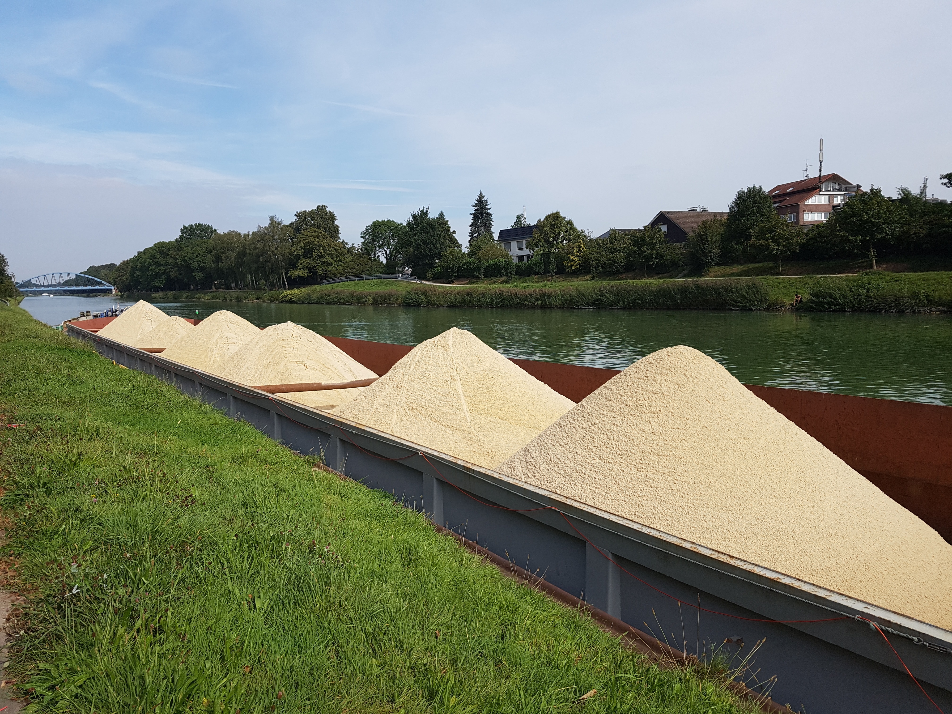 grains at the lake