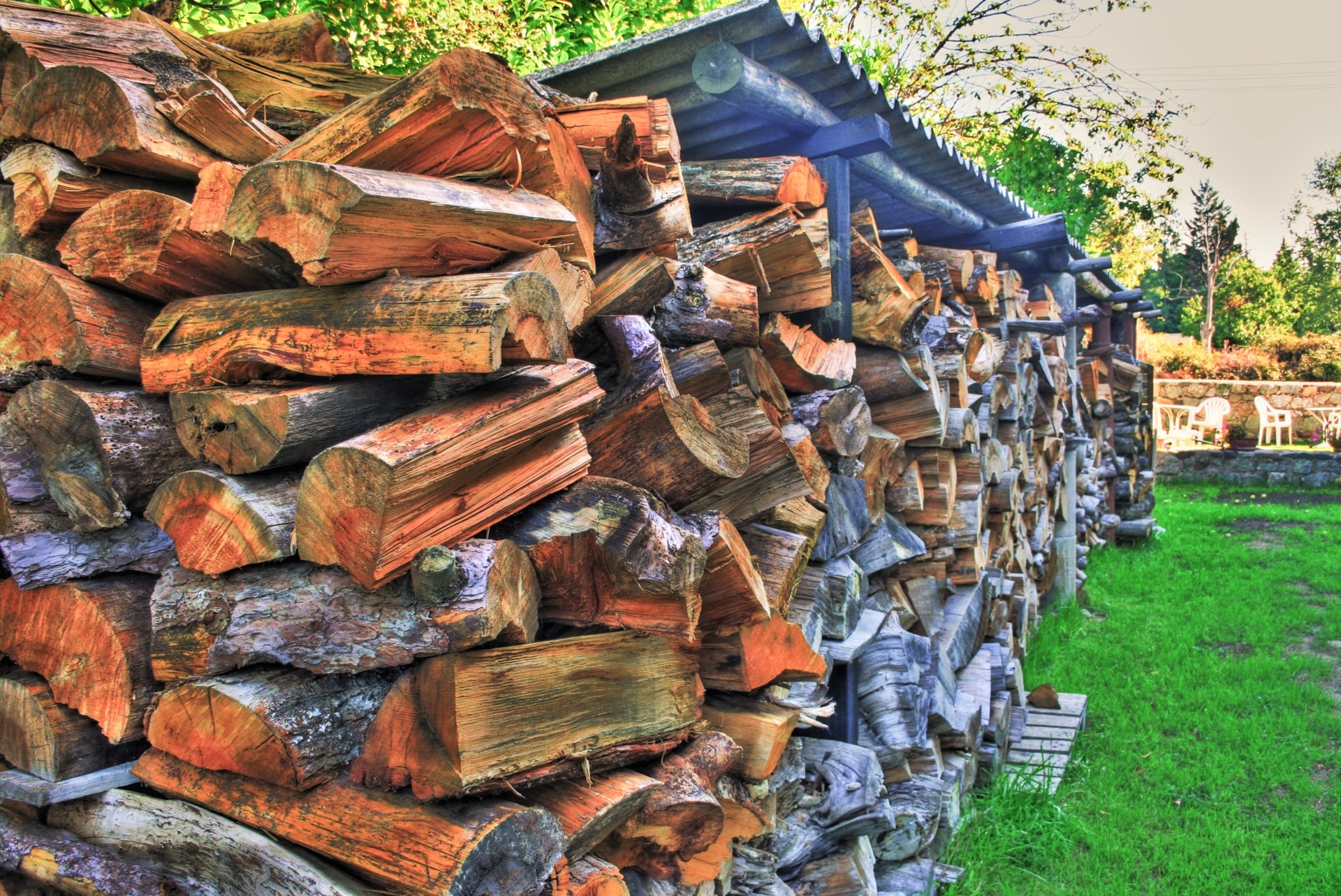 grey and brown firewood