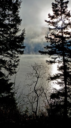 trees facing body of water and clouds thumbnail