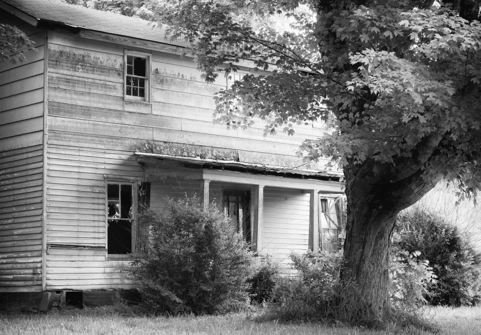 grayscale photo of house and trees preview