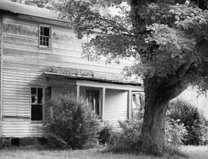 grayscale photo of house and trees thumbnail