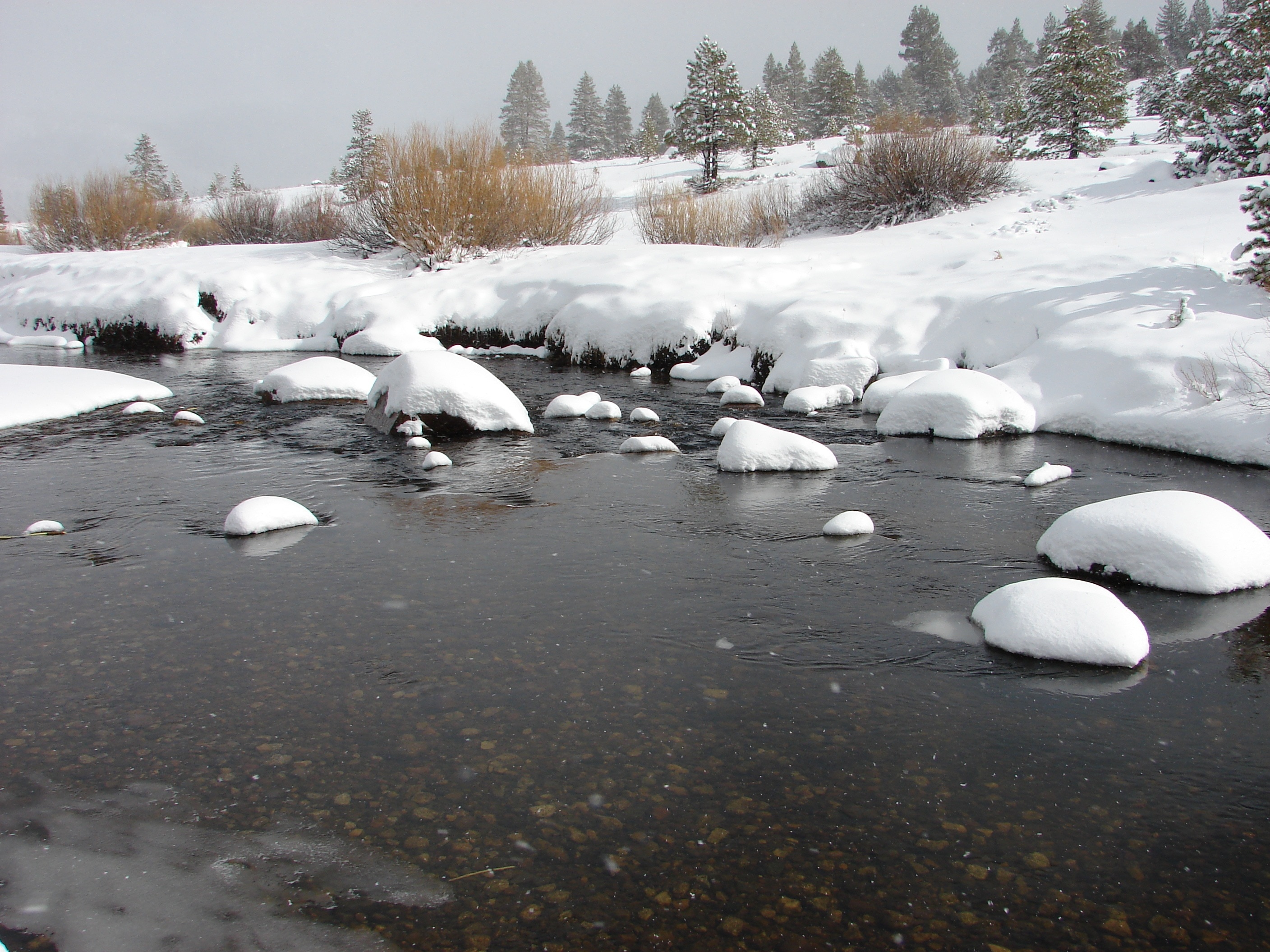 Талые воды весной. Таяние снега. Лед на реке. Река зимой. Талые воды.