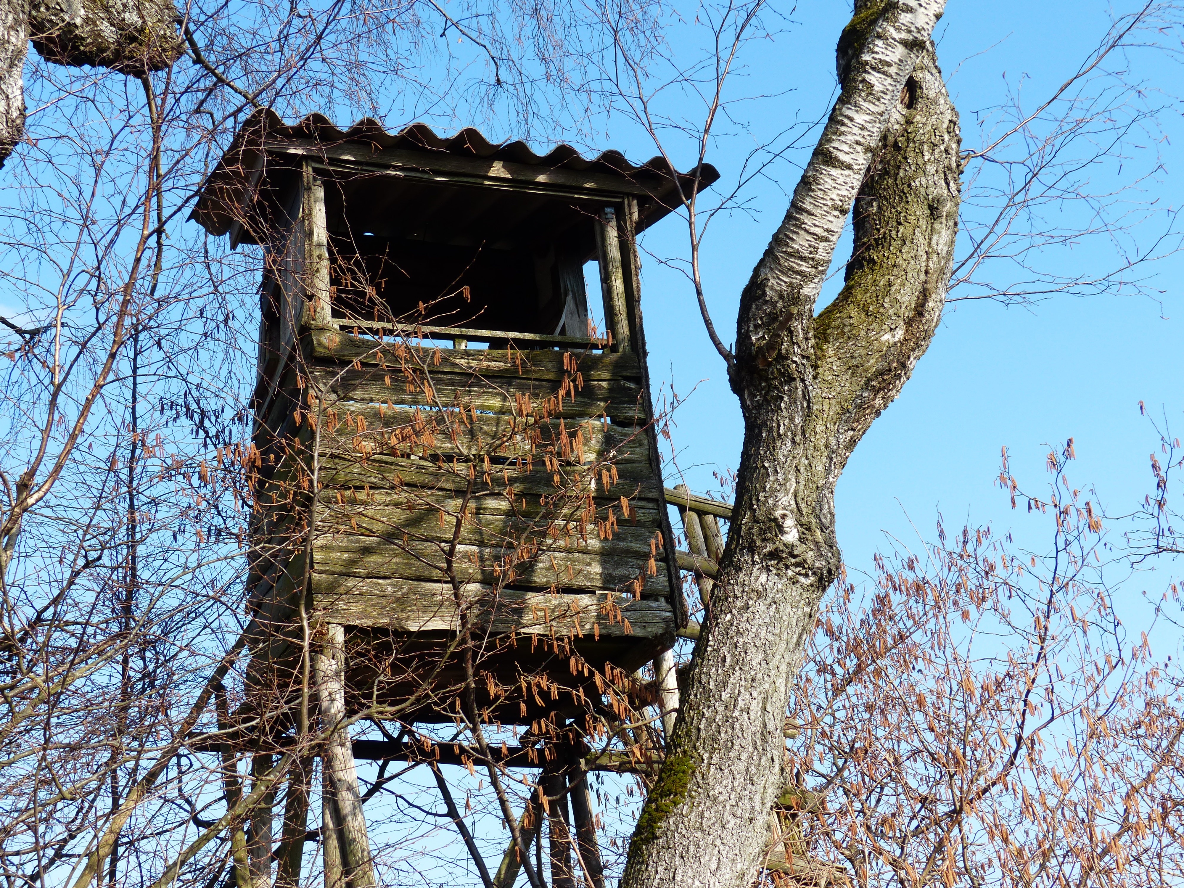 brown wooden tree house