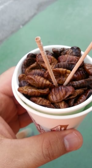 two toothpicks on brown food in white plastic cup thumbnail