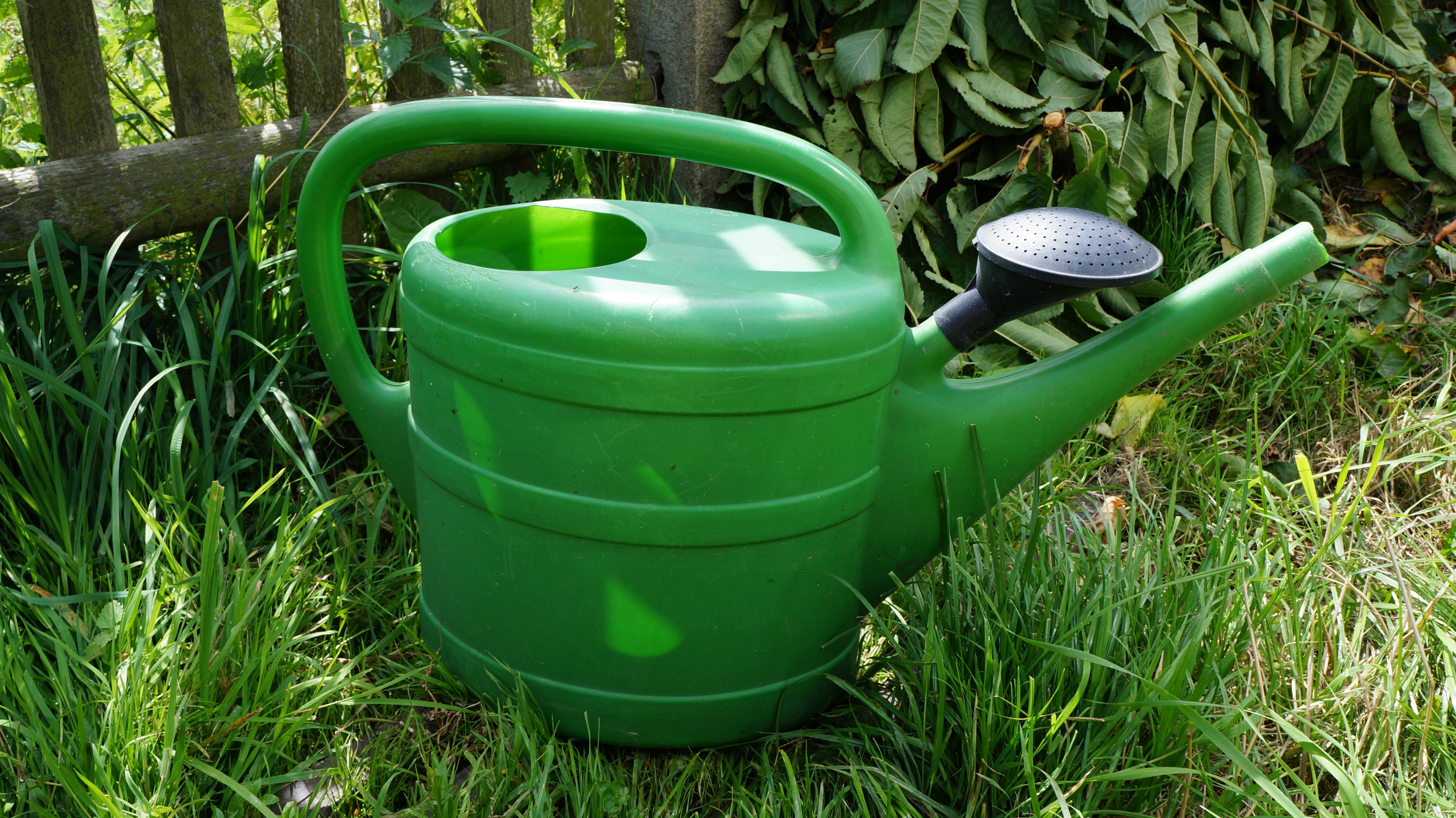 green watering pail