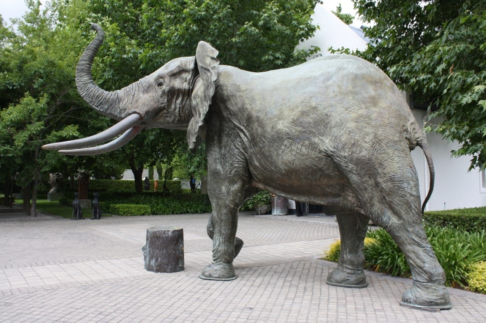 gray elephant statute preview