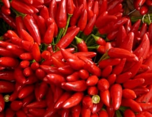 red chili thumbnail