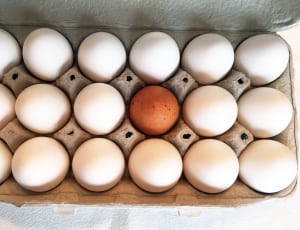 18 eggs in egg case thumbnail