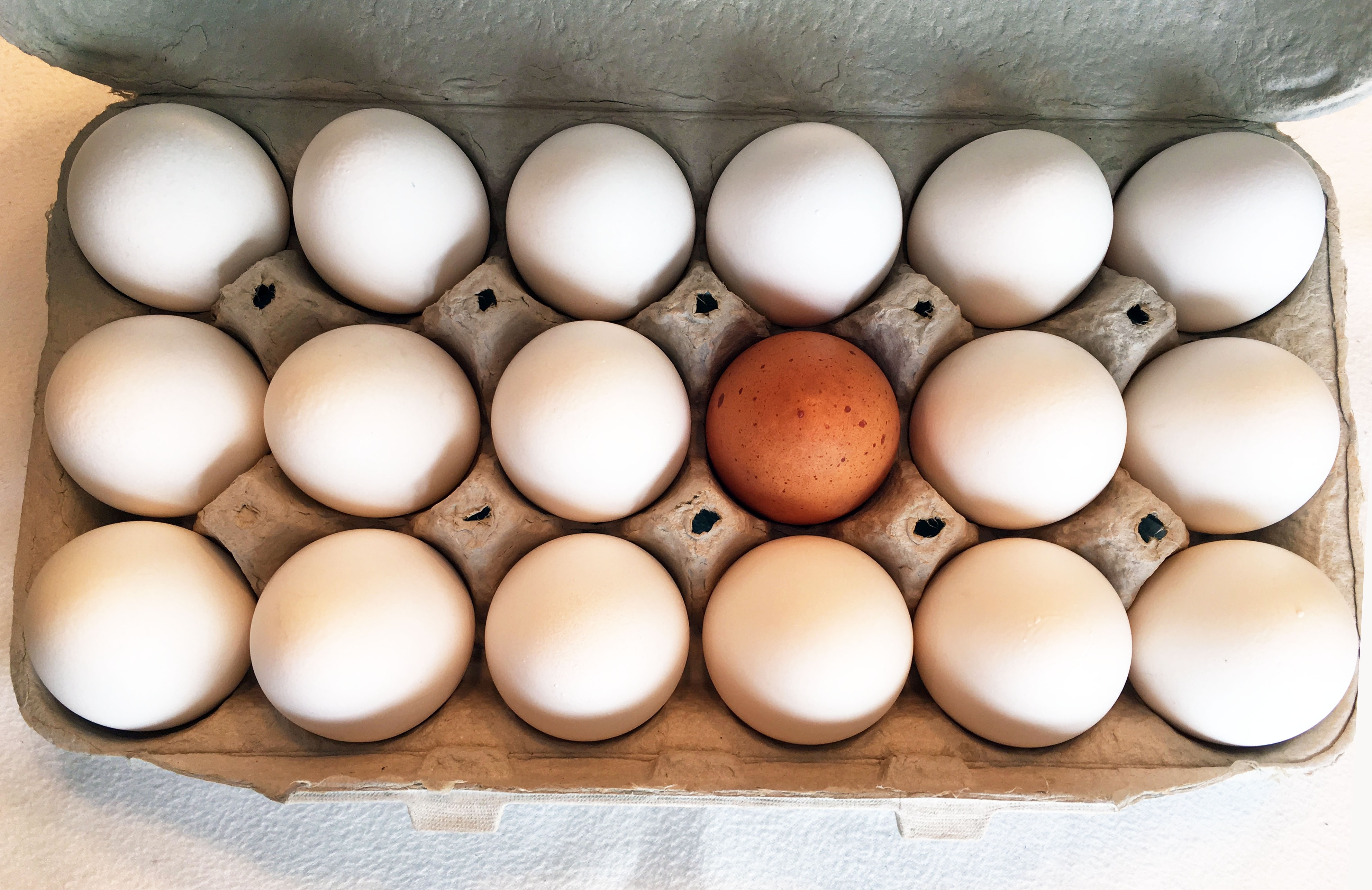 18 eggs in egg case