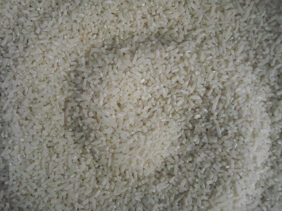 rice grains preview