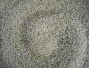 rice grains thumbnail